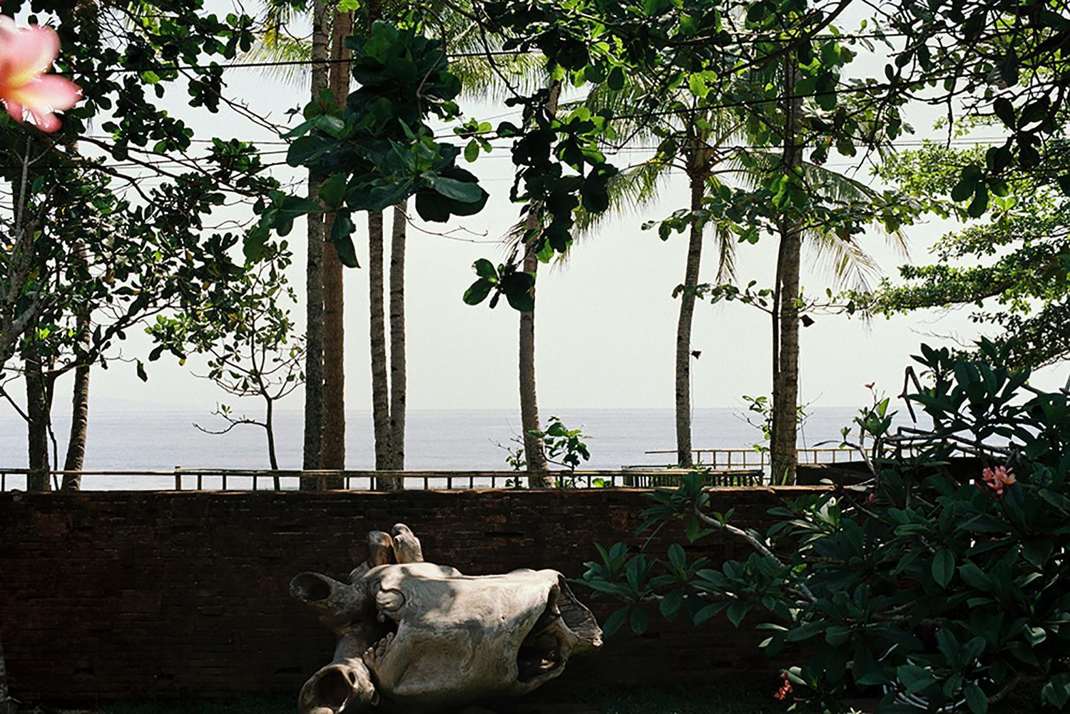 Bale Karang Cottages Batukaras Extérieur photo